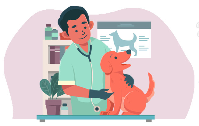 Petaegis Veterinary Clinic