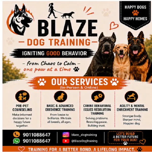 Blaze Dog Training